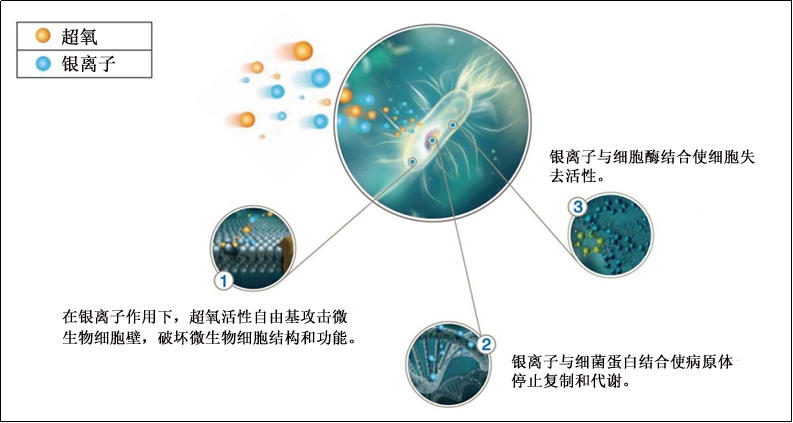 超氧银原理图.jpg